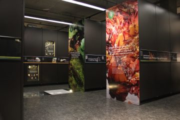 A photograph of the herbarium section of the Beaty museum collections where you can see three rows of black steel cabinets, a typical view of the museum. 