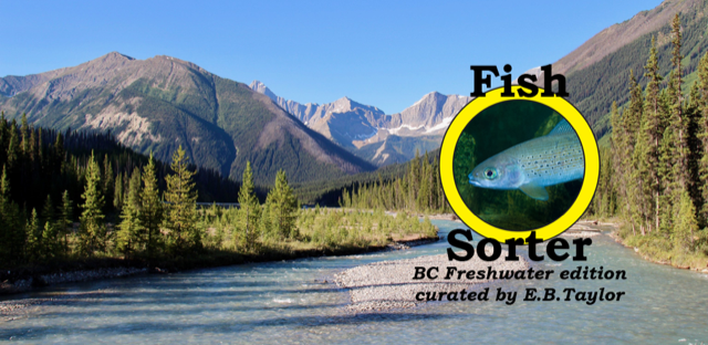 Fish sorter app logo on top of a BC river landscape photo containing trees and a mountain.