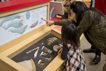 An adult and child read the "Baleen or Teeth" information panel at the whale station.